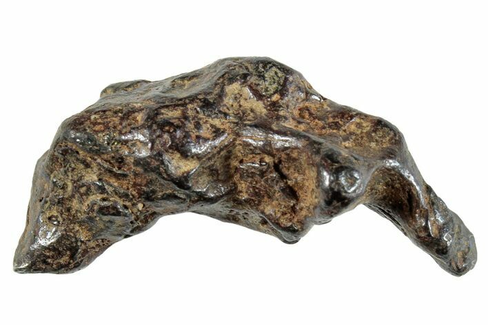 Sericho Pallasite Meteorite ( g) Metal Skeleton #267371